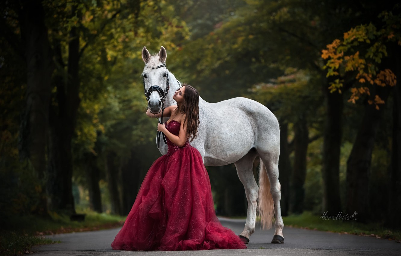 Wallpaper Road Autumn Girl Horse Dress Mona H Hler Image For