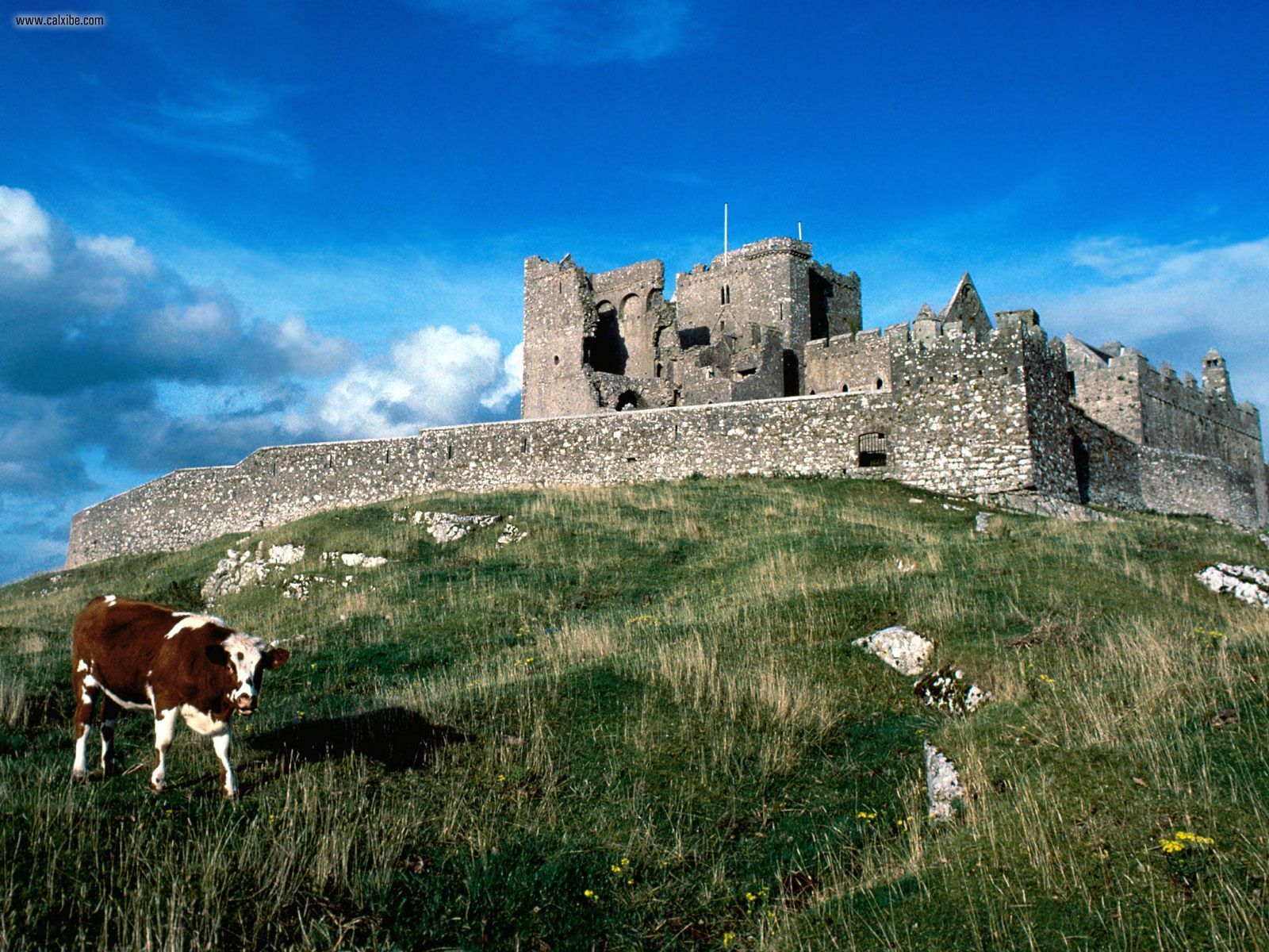 Known Places Cashel Castle Ireland Desktop Wallpaper Nr