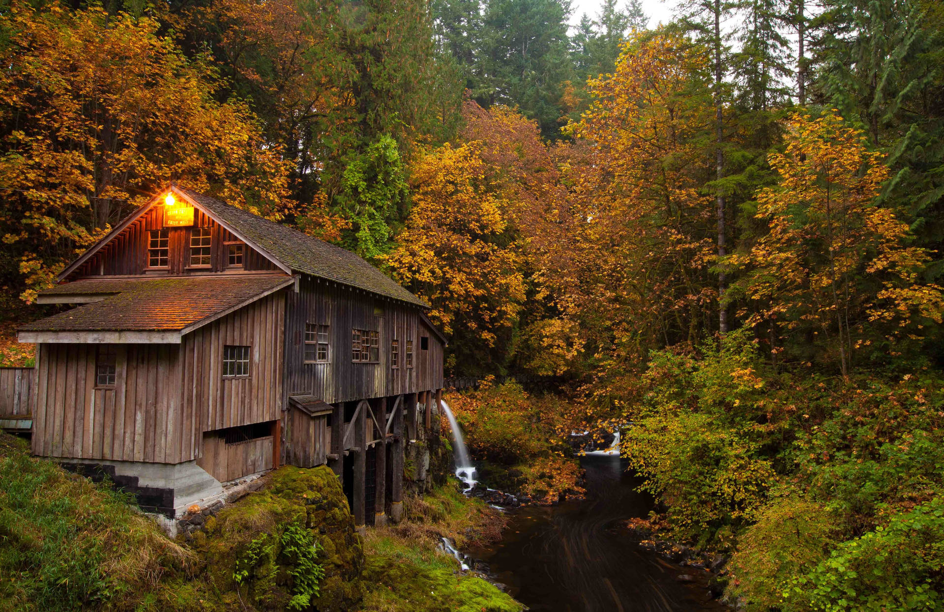 Wood House Wallpaper