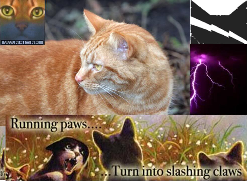 Warriors Cats Wallpaper Desktop Background
