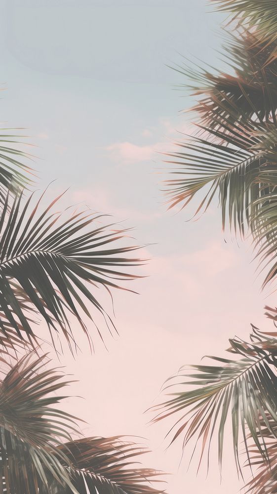 Aesthetic Palm Leaves Landscape Wallpaper