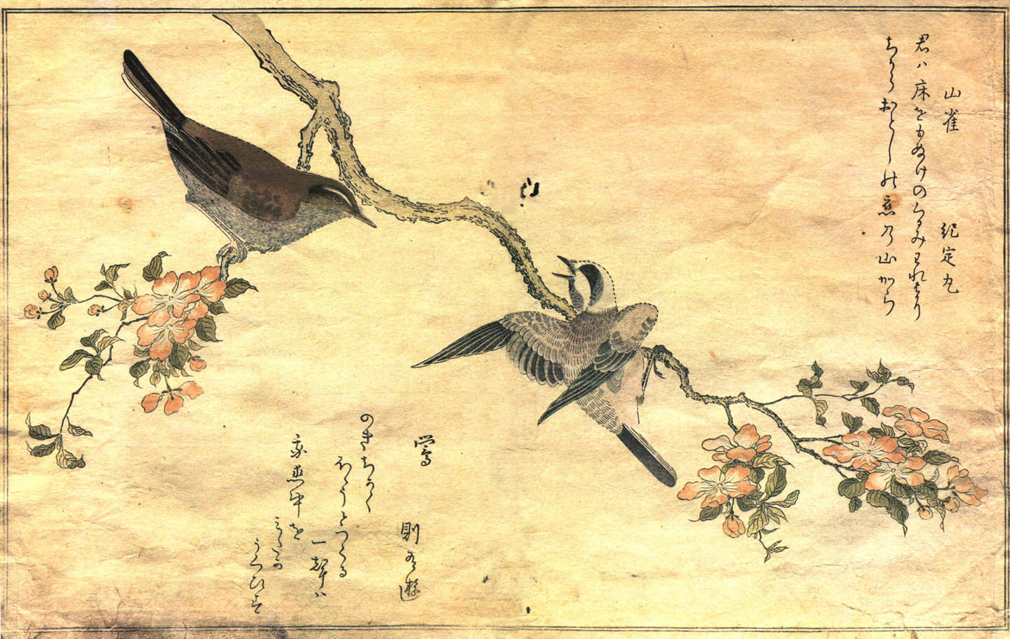 Artistic   Oriental Wallpaper 1440x911