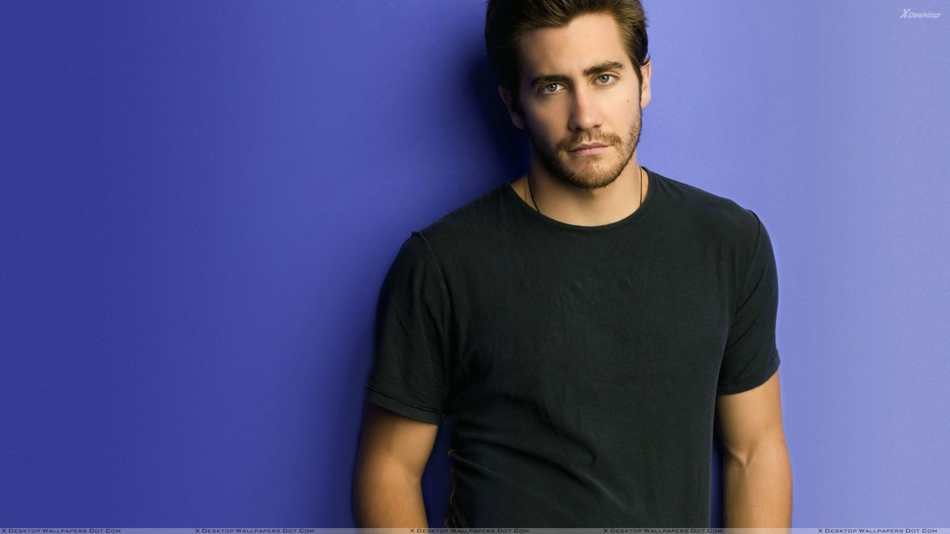 Jake Gyllenhaal Looking Smart In Black T Shirt N Blue Background