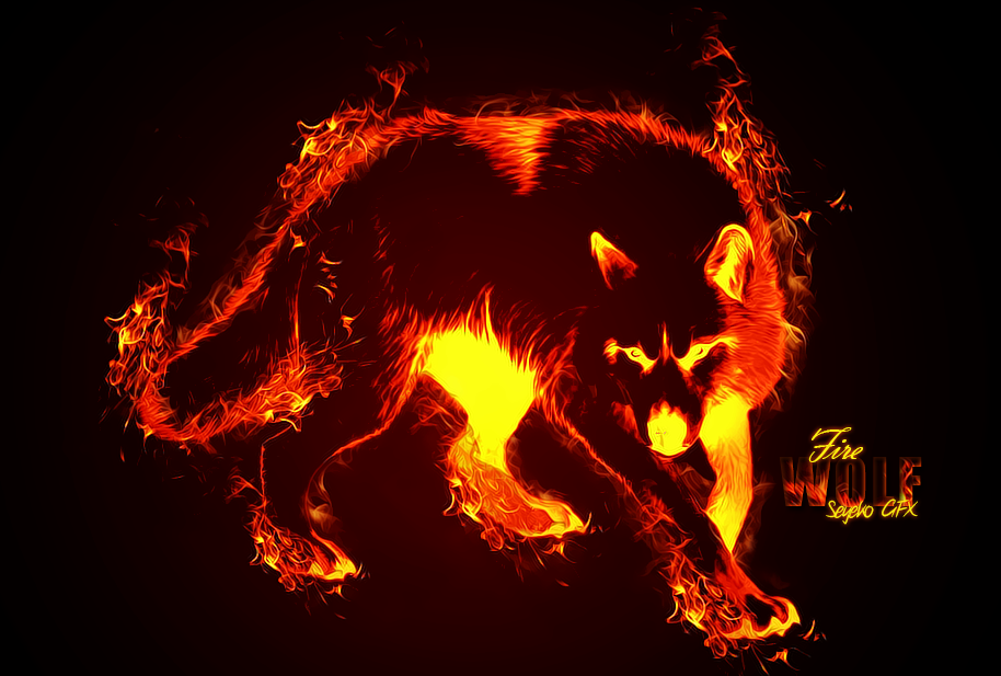 Fire Wolf Wallpaper Wallpapersafari