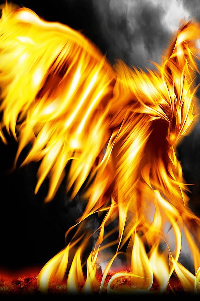 Phoenix In Fire Wallpaper iPhone The