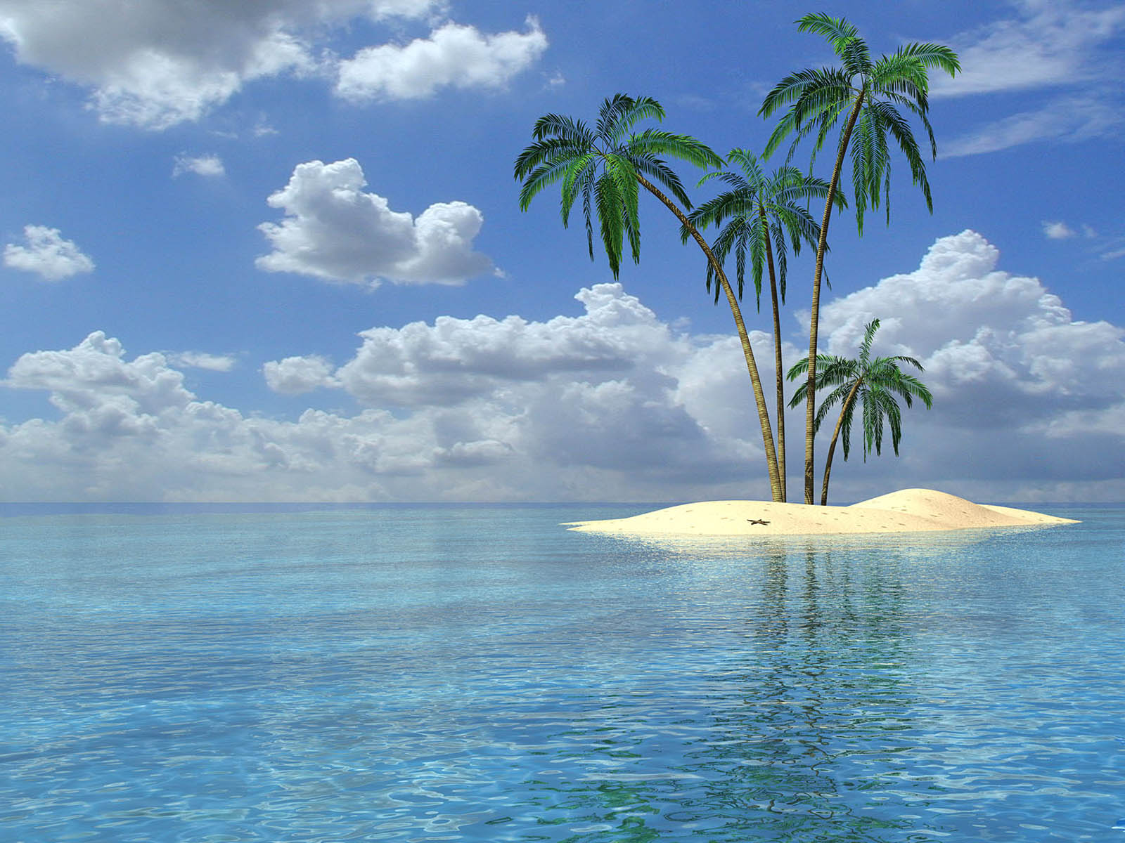 Palm Trees Wallpaper Desktop