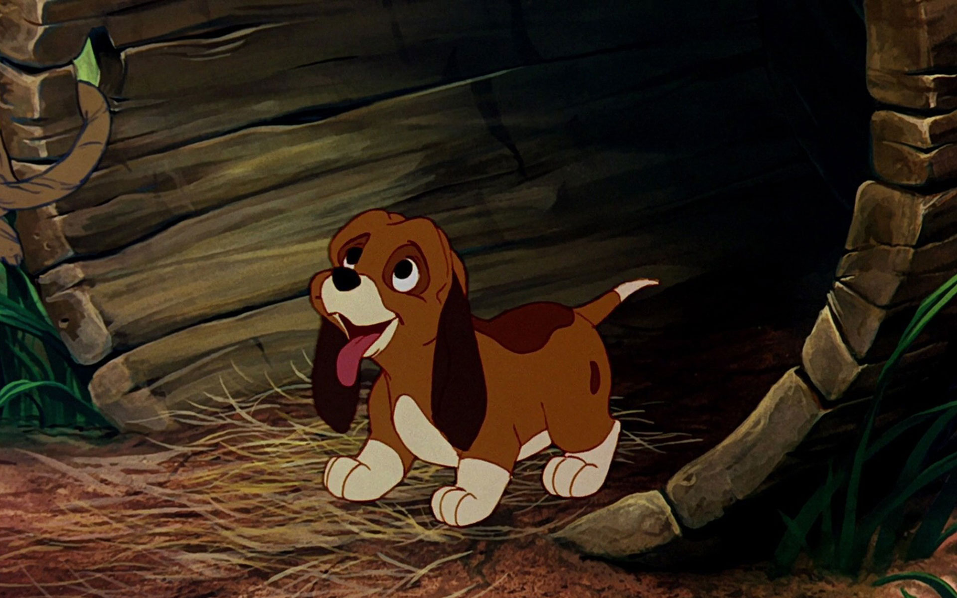 Fox And The Hound Copper wallpaper   613135