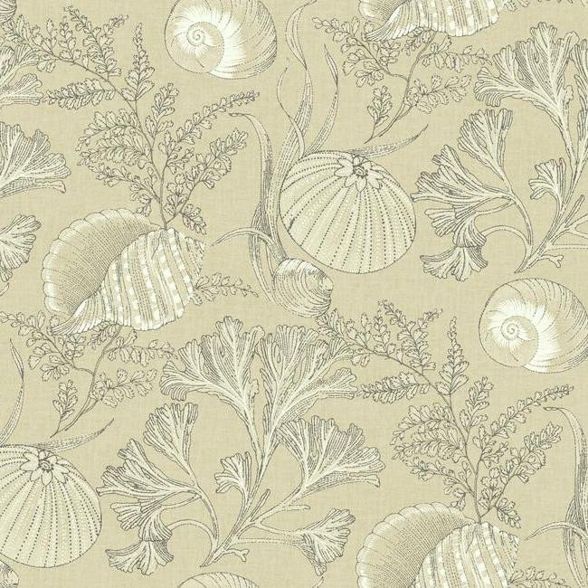 Sample Coral Shells Wallpaper in Gold design by York Wallcoverings