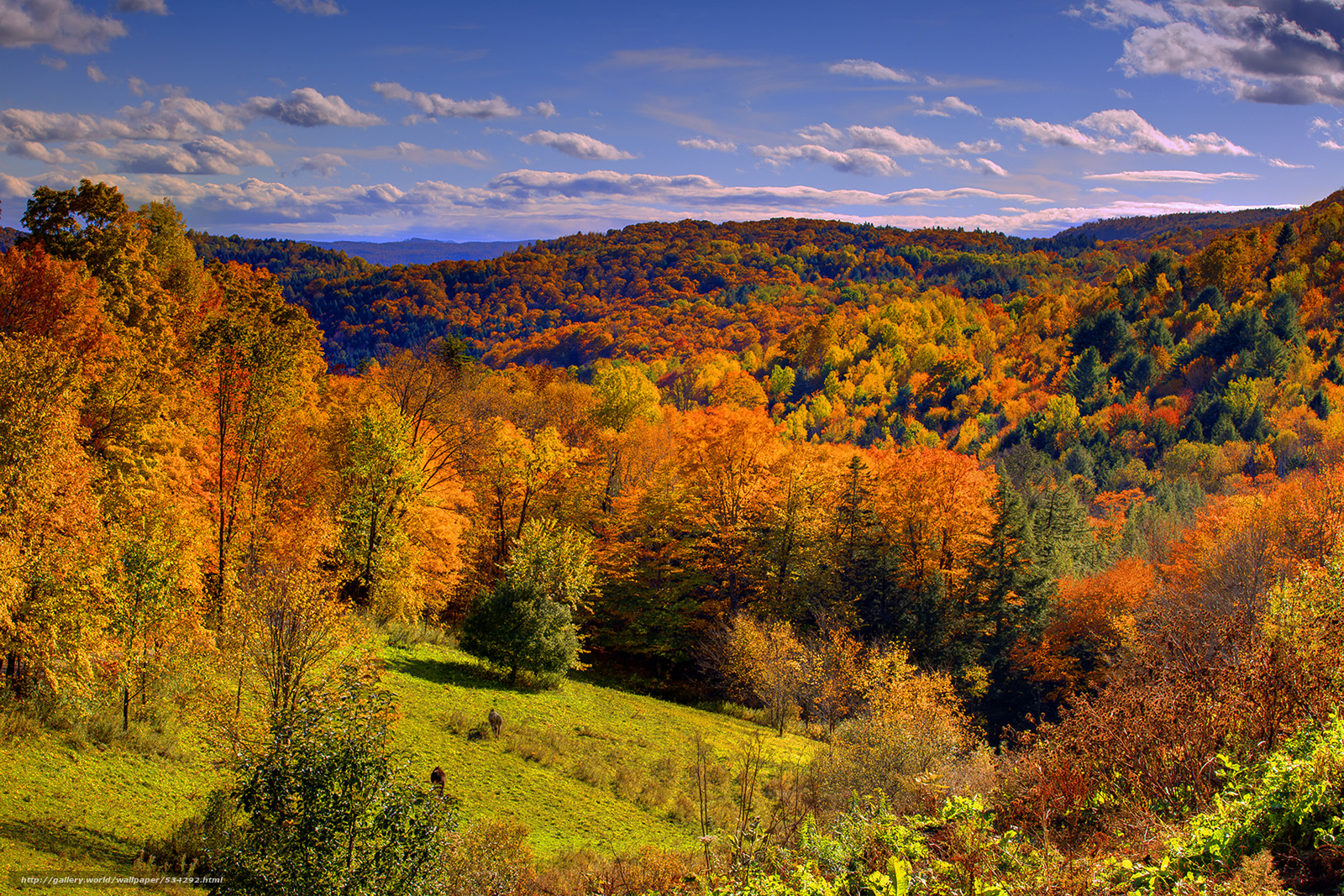 Wallpaper Valley Of Fall Color Autumn Vermont Desktop