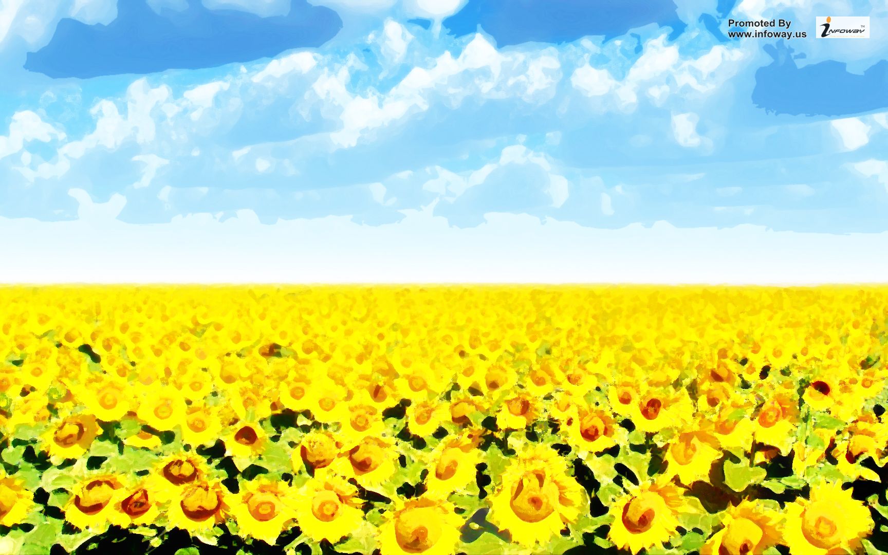 Sunflower Widescreen Wallpaper Watercolour Photo Of Phombo