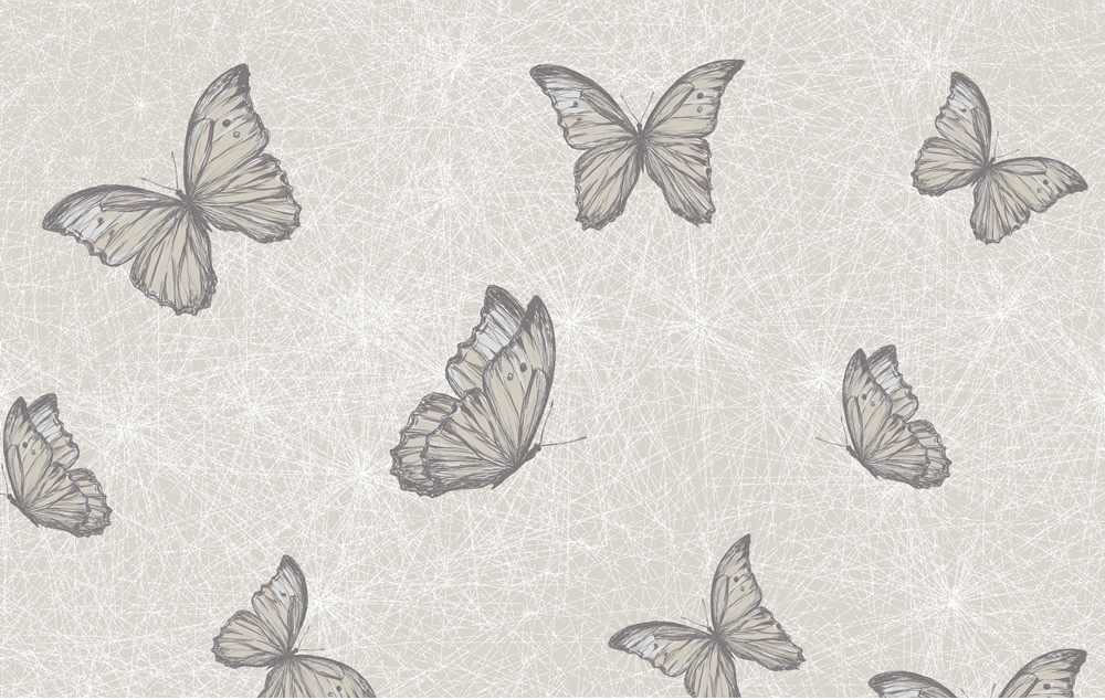 Top Butterfly Wallpaper Alice In Beautyland