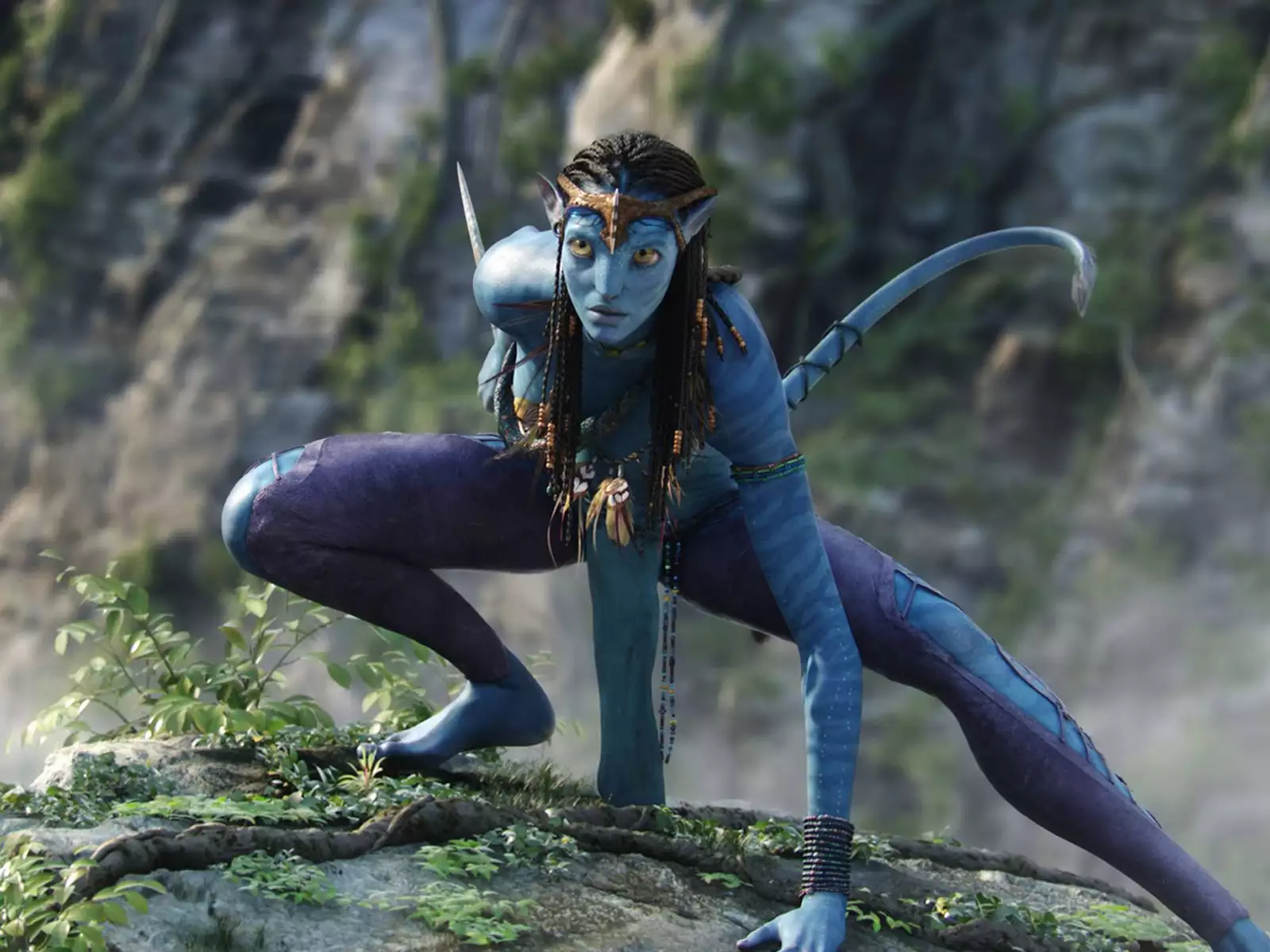 Avatar Wallpaper