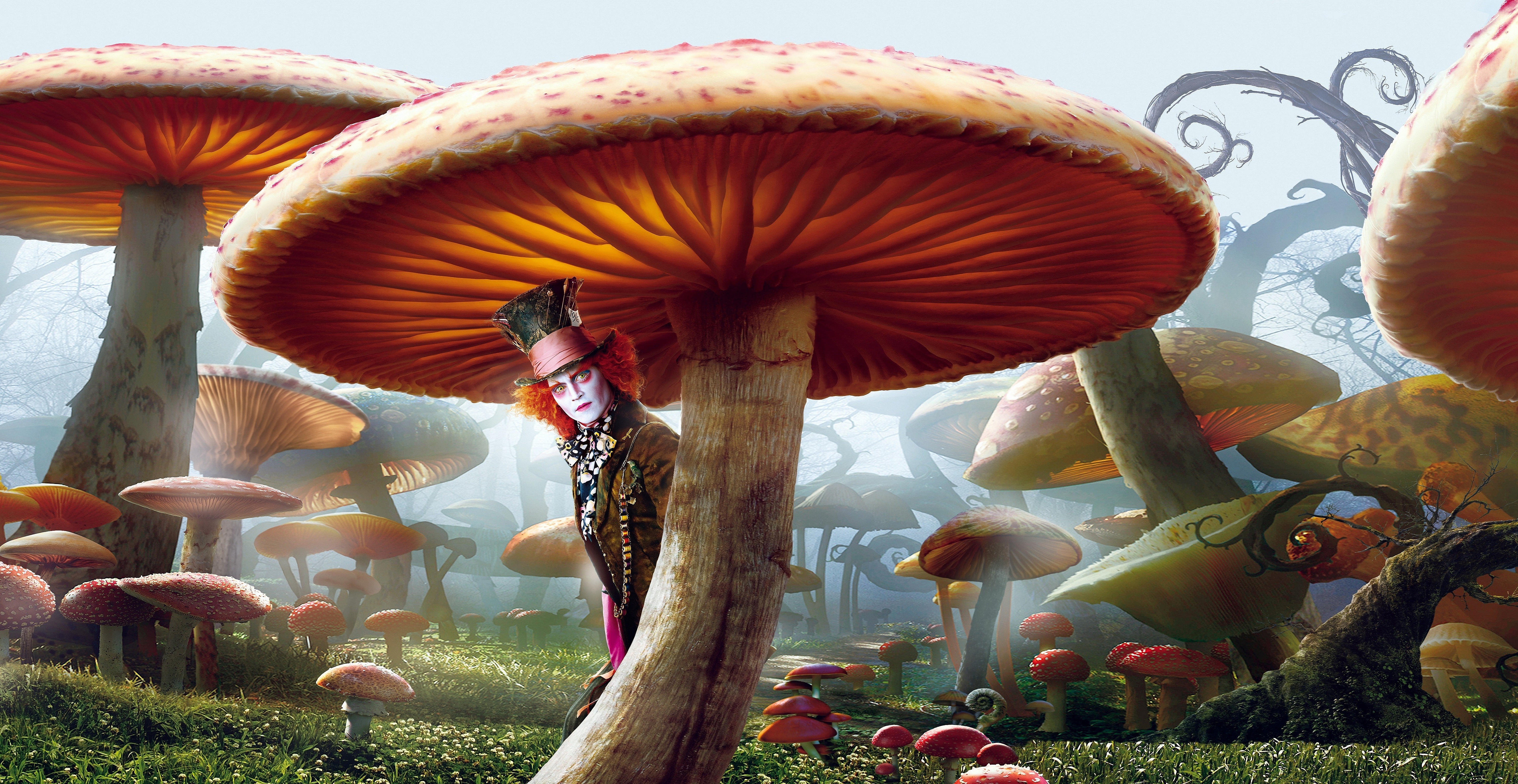 Alice In Wonderland Johnny Depp Mad Hatter Wallpaper