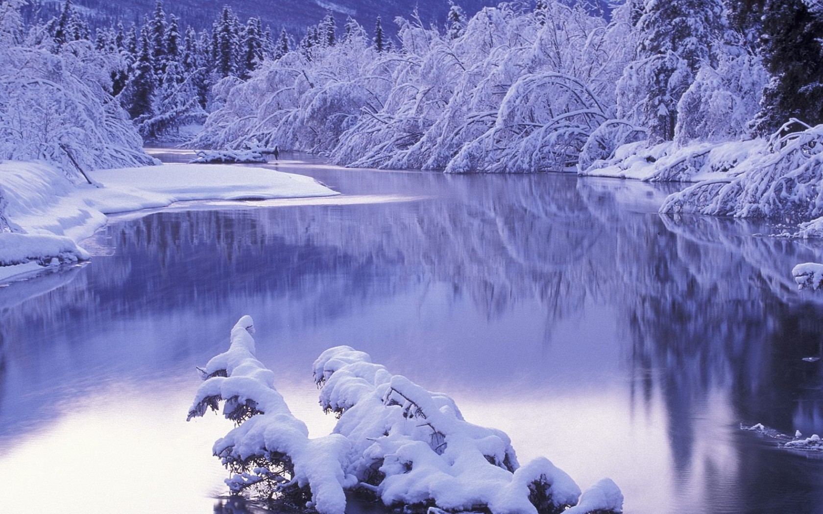 Winter Landscapes Cute Wallpaper