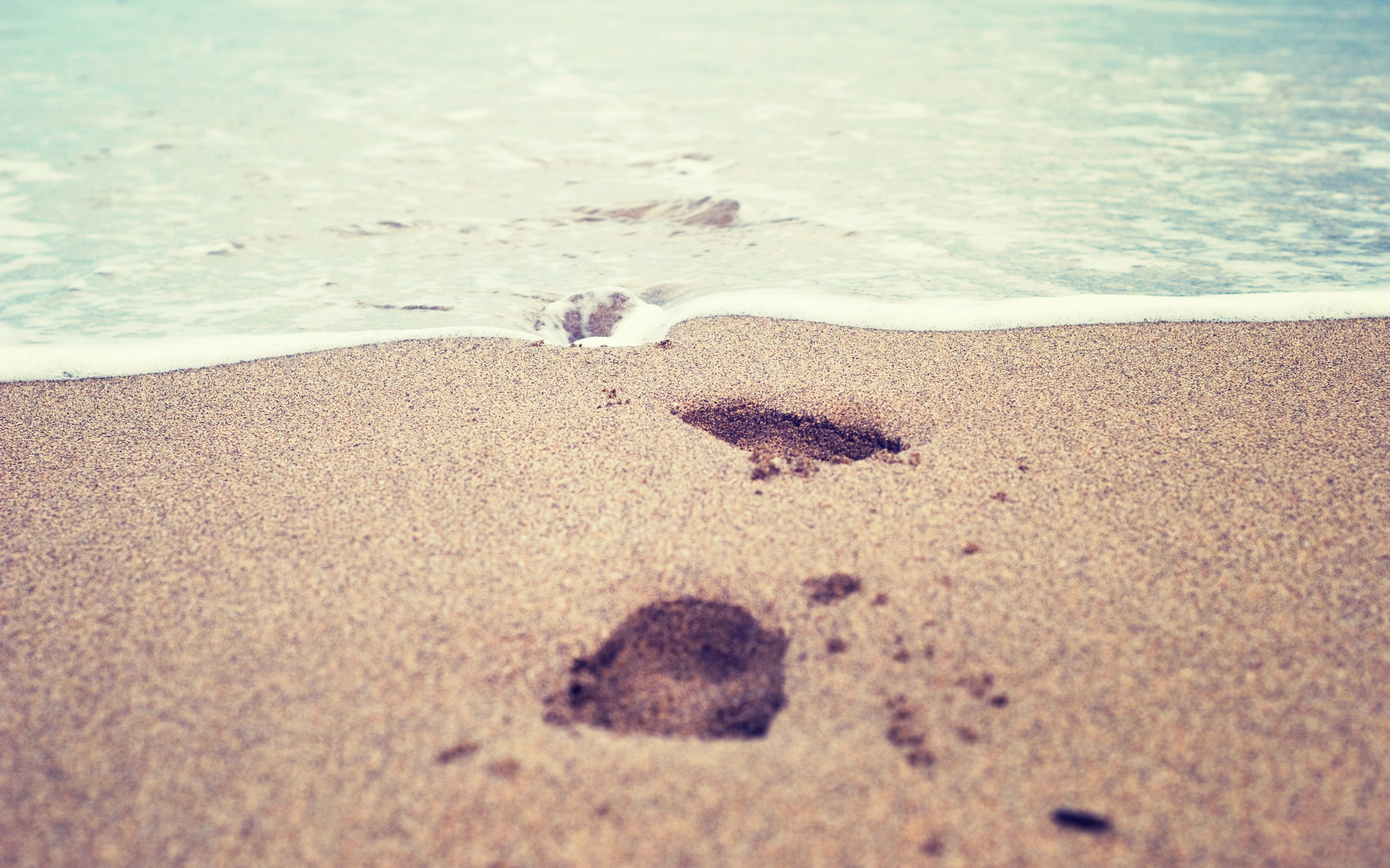 Footprints in the Sand Wallpaper HD   HD Images New