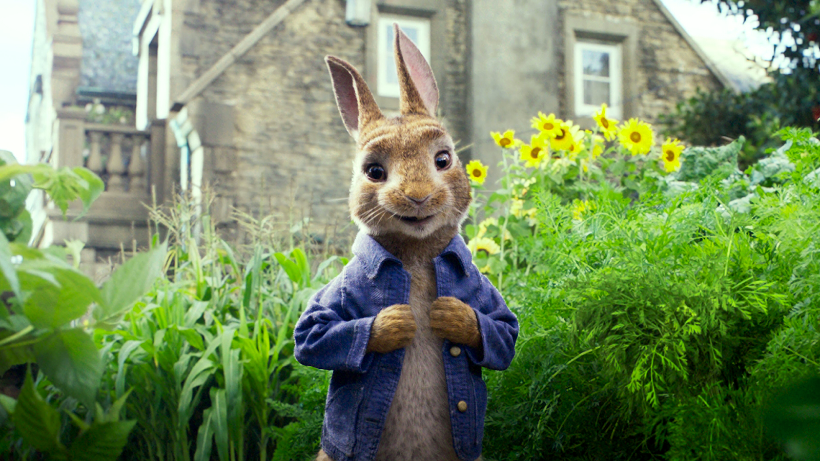 Peter Rabbit   1920x1080 Wallpapers   Full HD Backgrounds