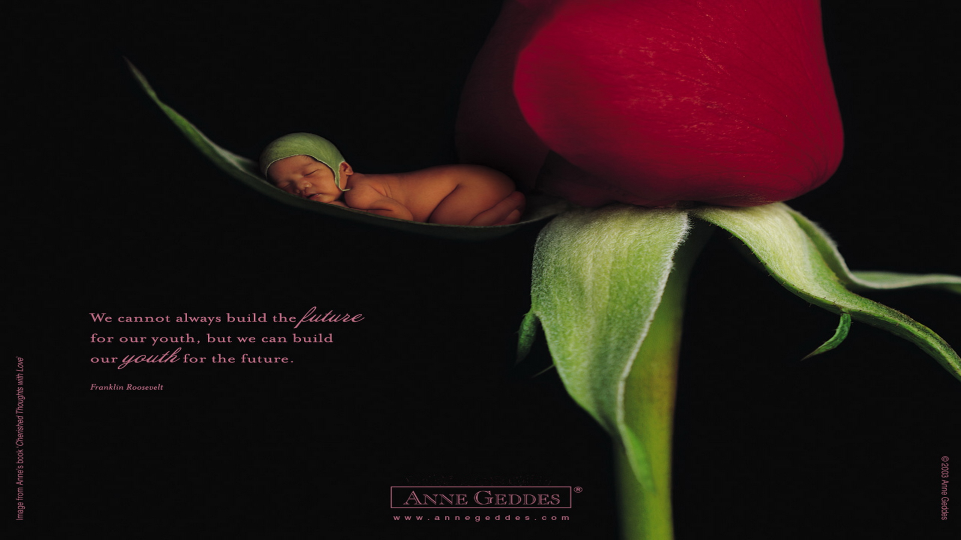 Anne Geddes Wallpaper Babies Color Photography