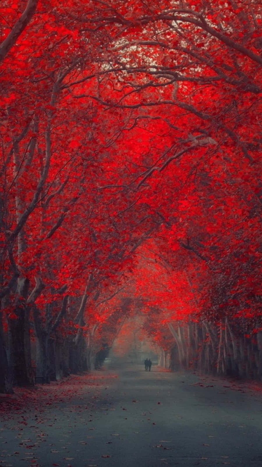 Red iPhone X Kbja5epen8bddr0m Wallpaper