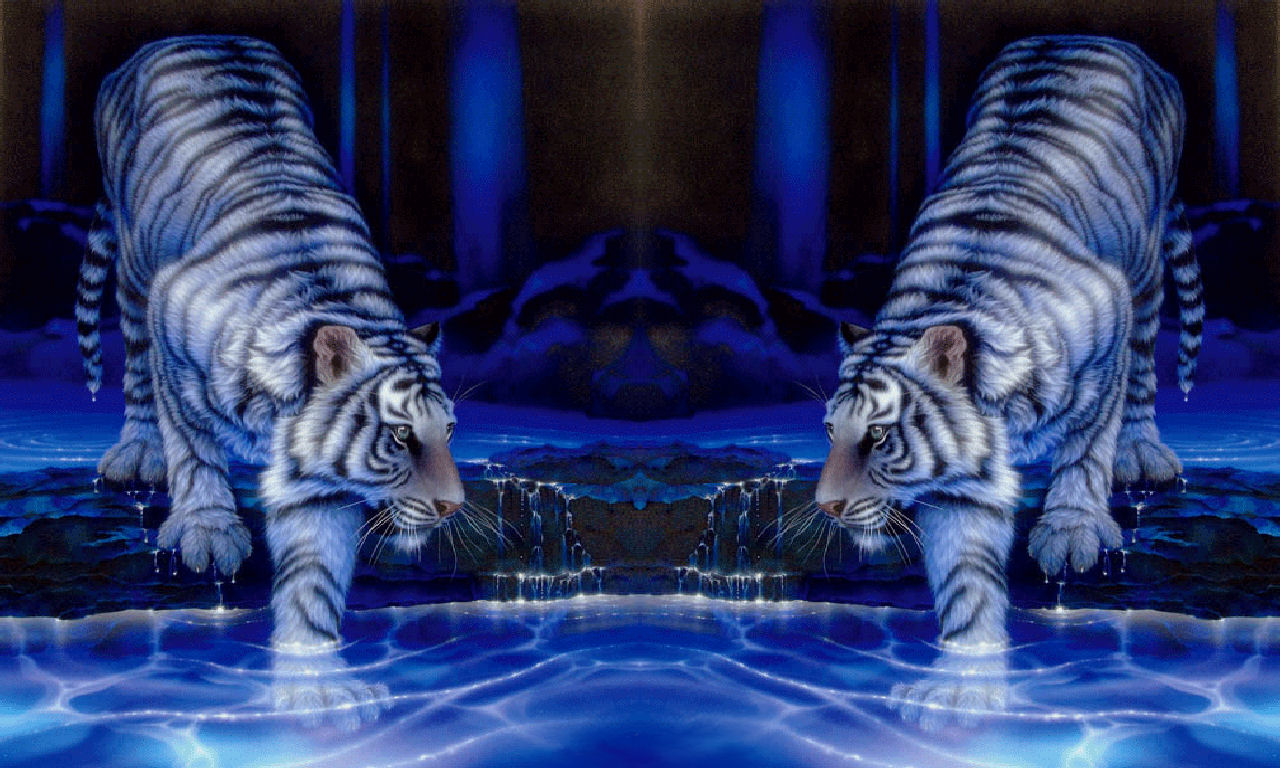WinCustomize Explore Screensavers Twin Tigers