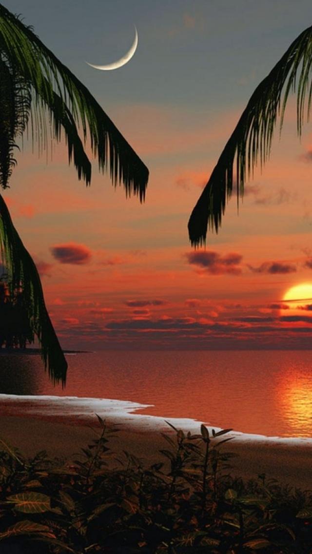 640x1136 Tropical Paradise Sunset desktop PC and Mac wallpaper