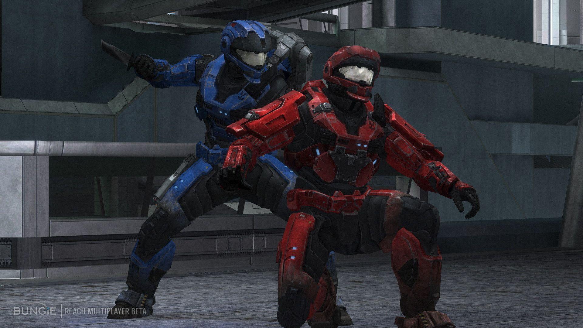 Funny Halo Wallpaper