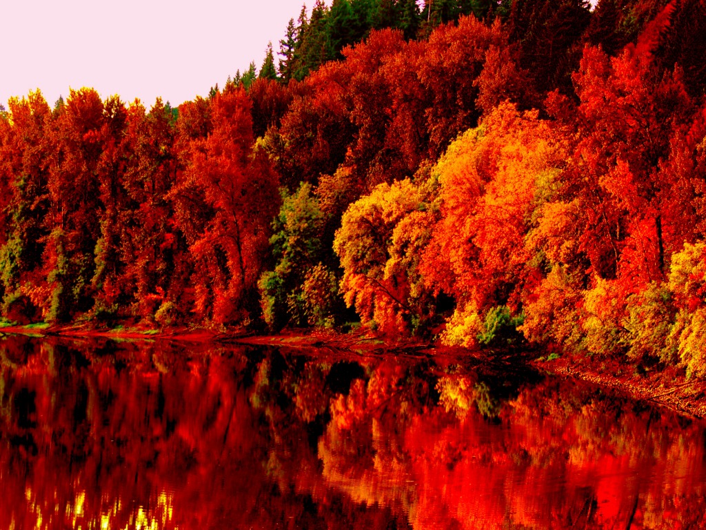 Autumn Lake One HD Wallpaper Pictures Backgrounds FREE Download