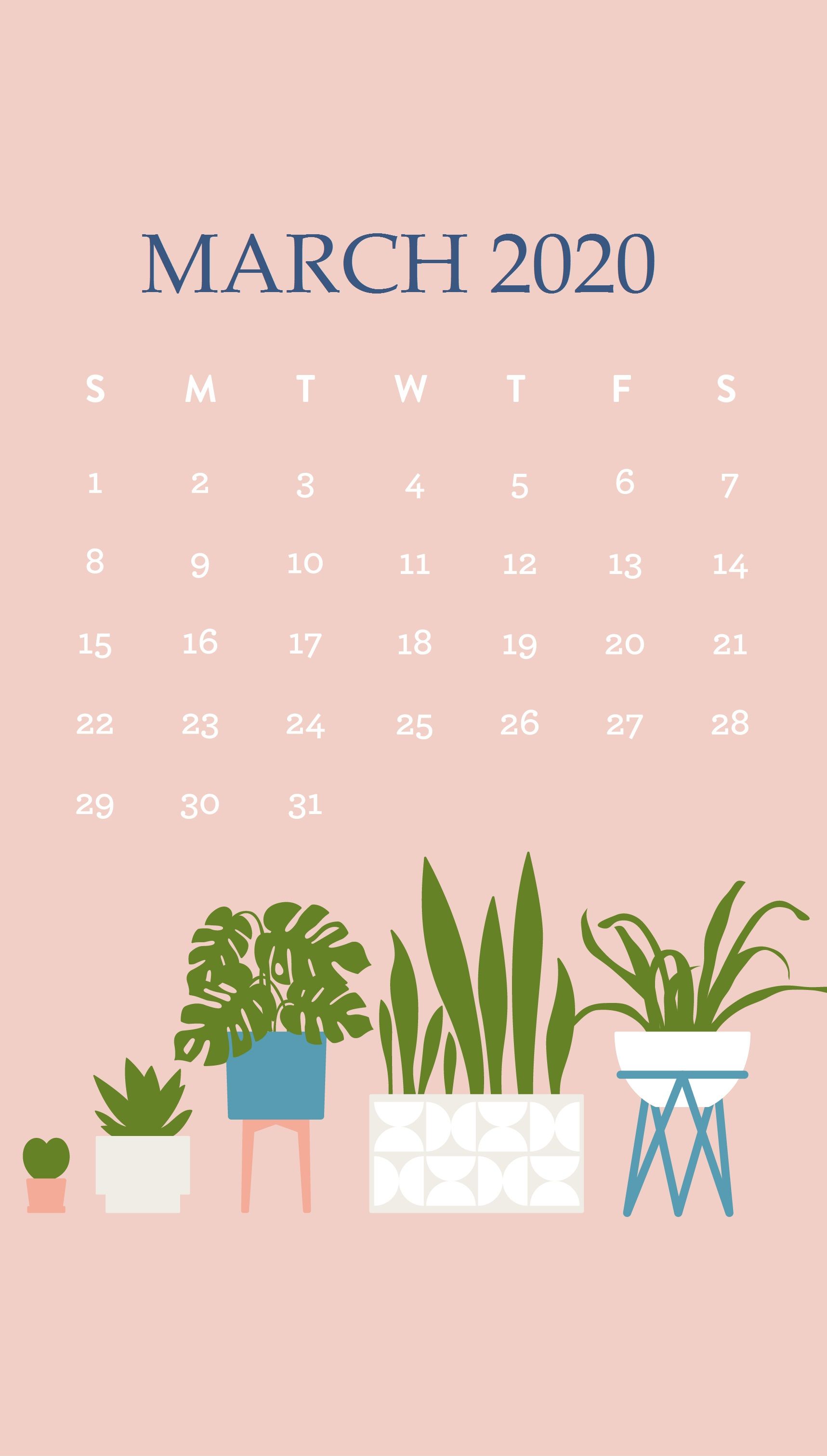Hello March Wallpapers  Top Free Hello March Backgrounds  WallpaperAccess