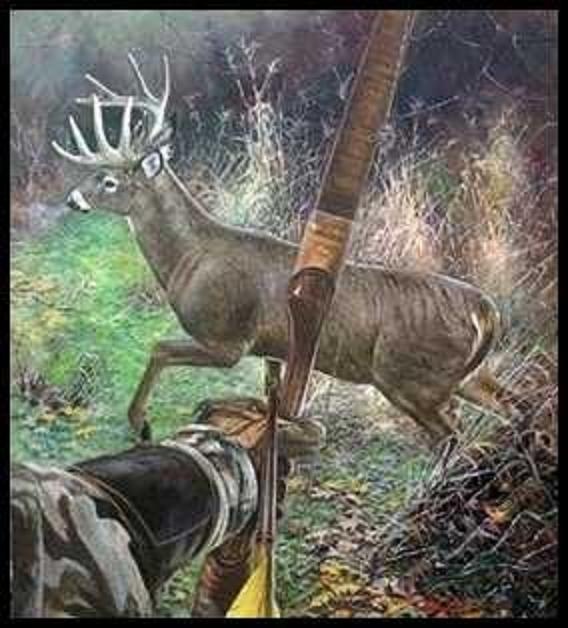 Puter Wallpaper Thread Archery Bow Hunting
