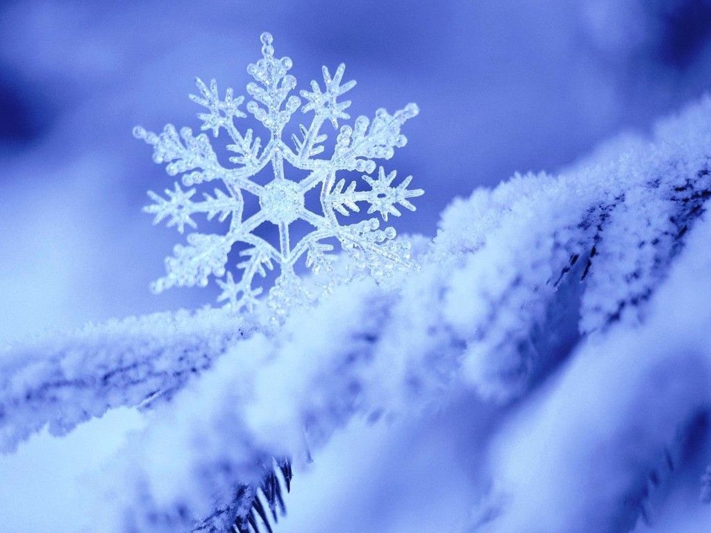 Snowflake Nature Winter HD Wallpaper Mandala