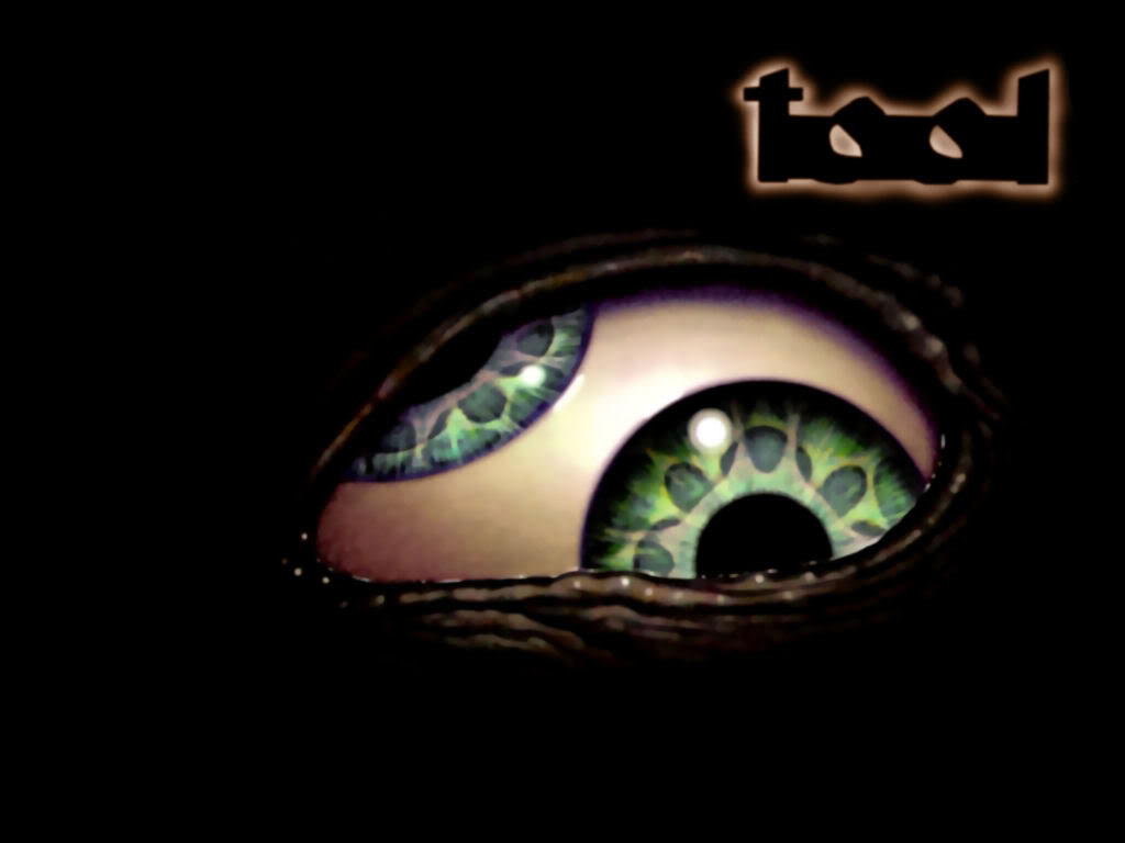 Tribute To Tool Wallpaper Tribute To Tool Desktop Background