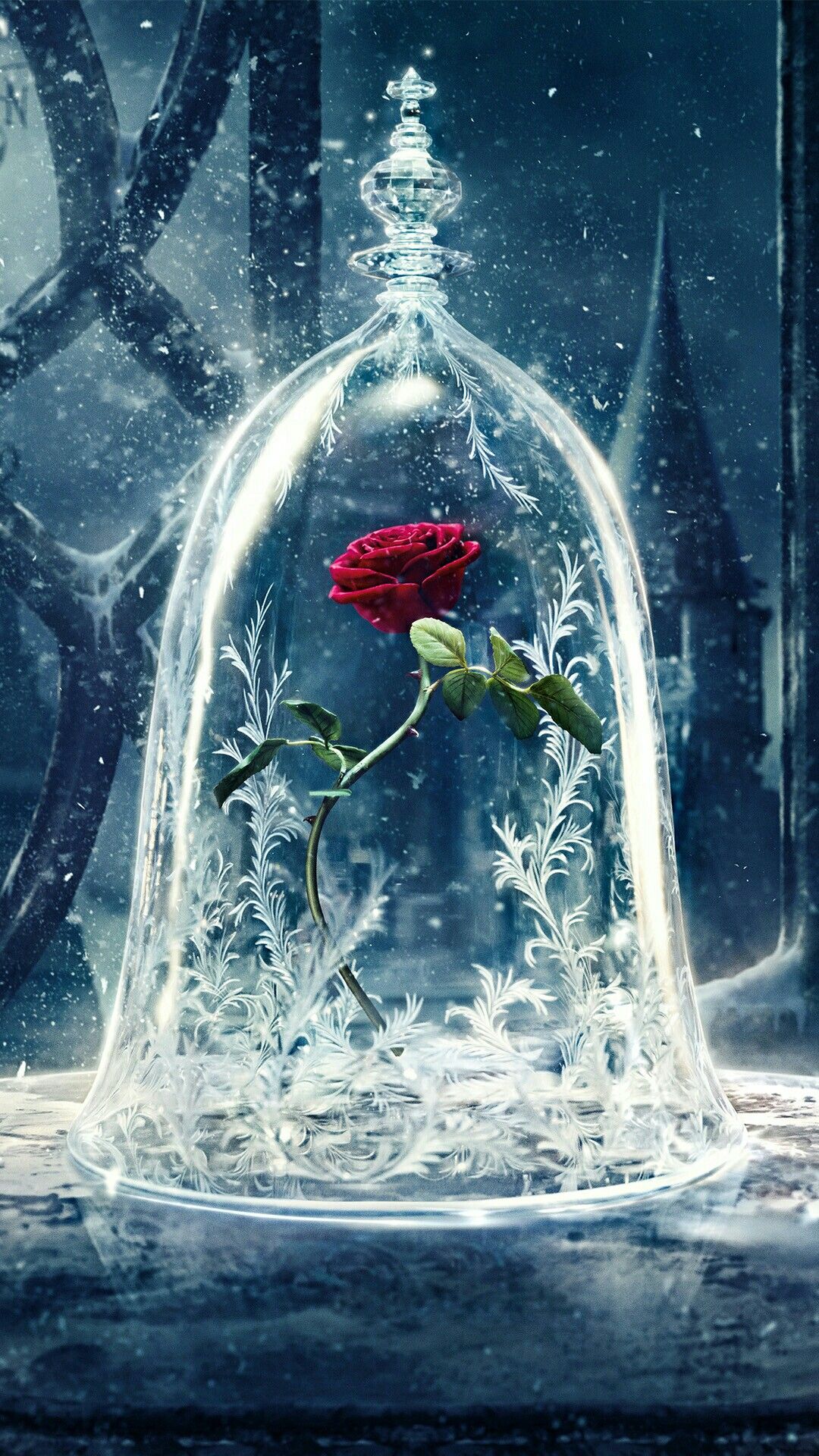 Disney Beauty And The Beast Rose Image Digital Art