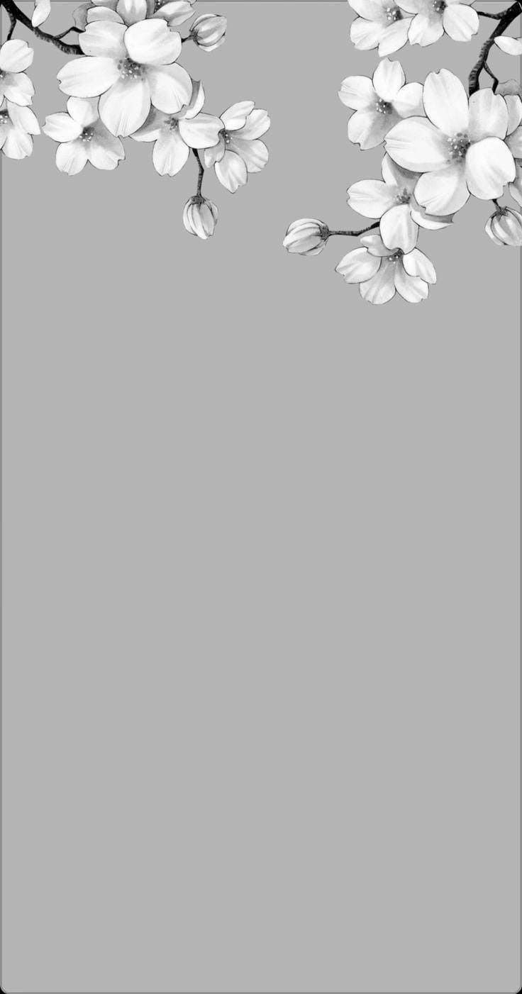 Black And White Floral Wallpaper For Your Phone