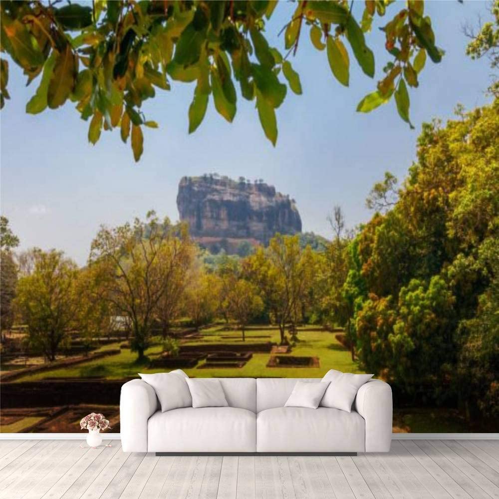 Amazon 3d Wallpaper Sigiriya Lion Rock Far Behind The Leaves