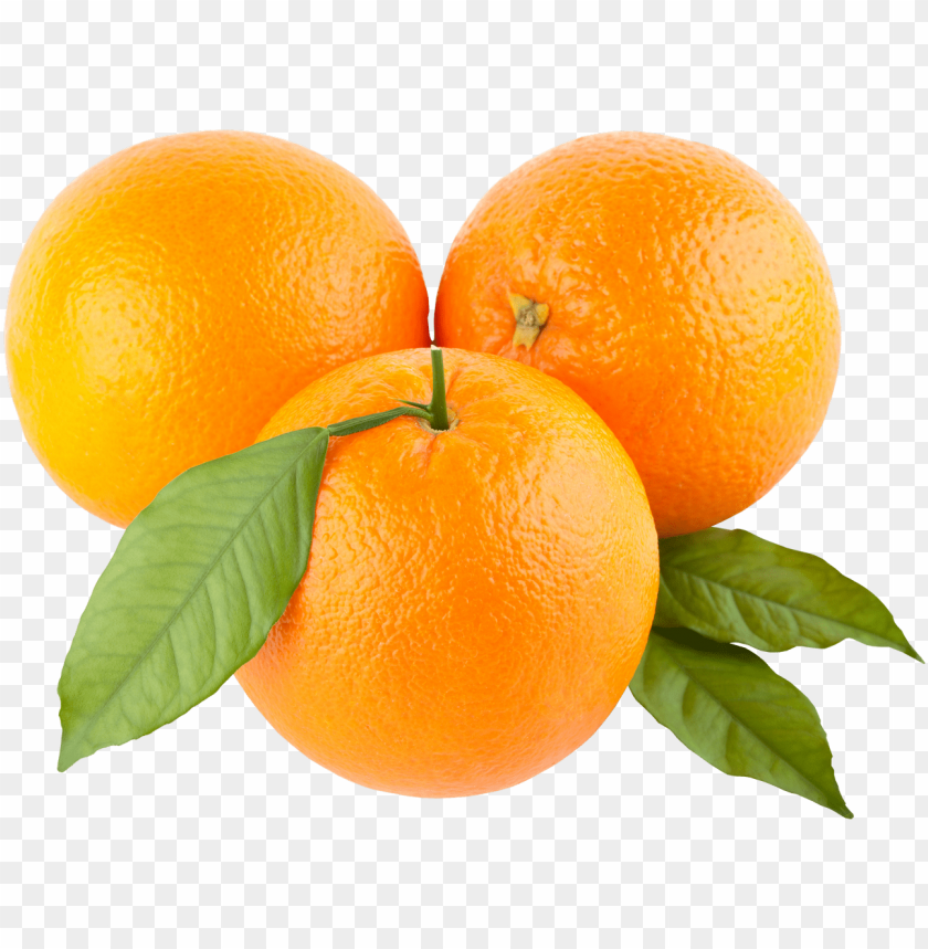 Orange Oranges Png Image Background Toppng