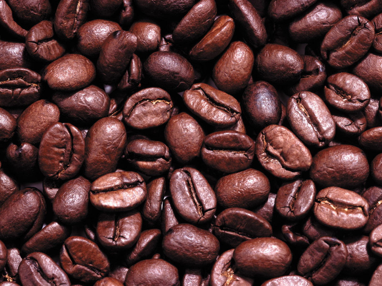 Coffee Beans Images
