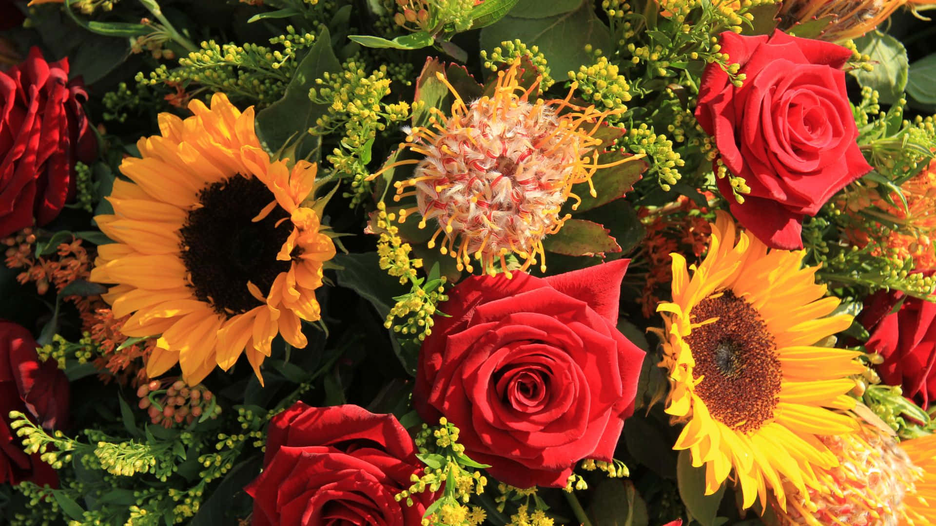 Sunflowers And Roses Wc4Y5P6E8Ghe5Fhn Wallpaper