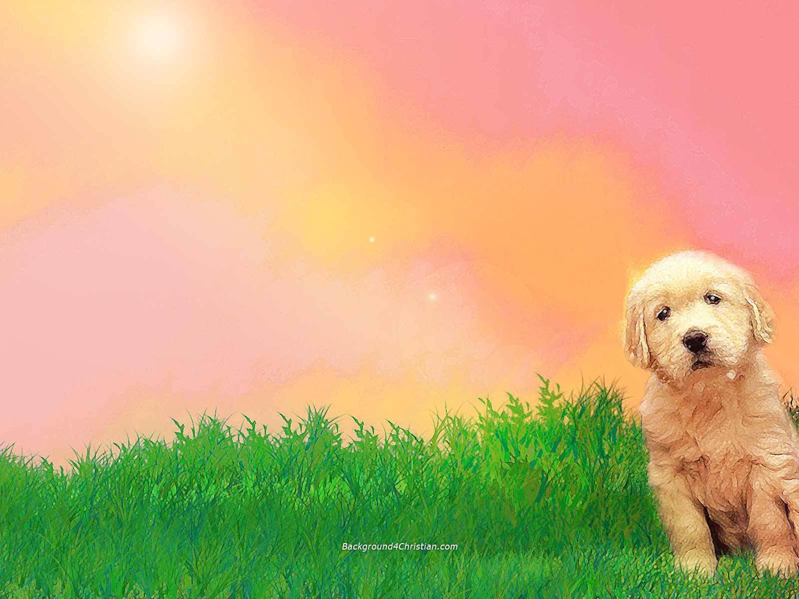 Dogs Image Dog Wallpaper HD And Background