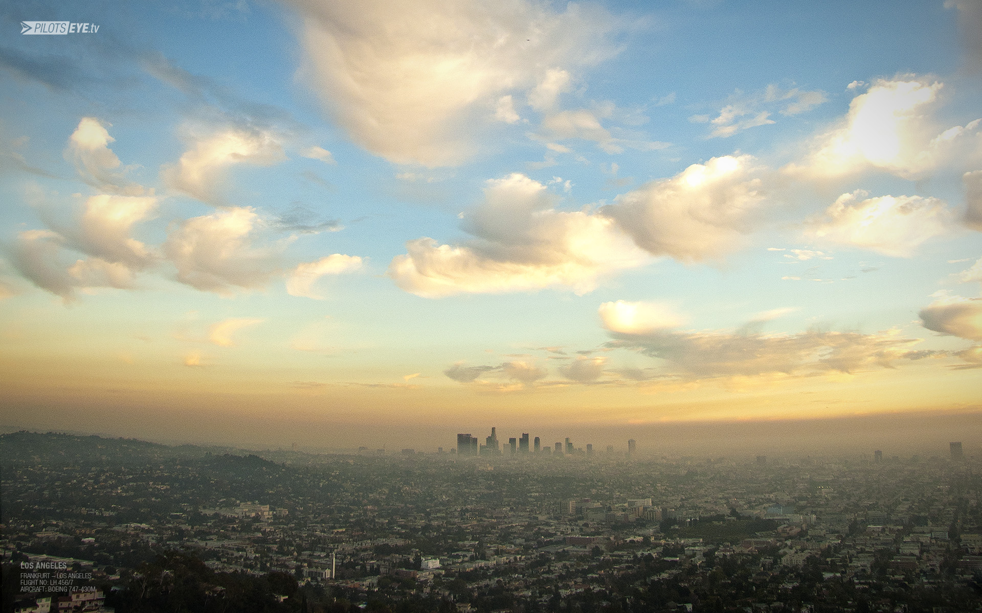 Downtown Los Angeles From Griffith Wallpaper