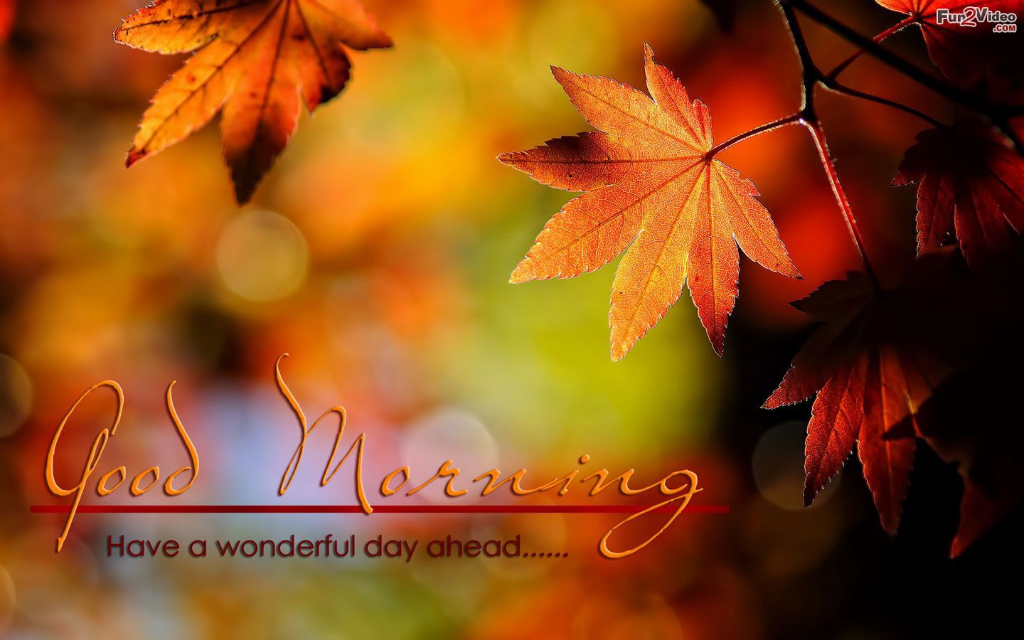 Have A Wonderful Day Good Morning Wallpaper For Desktop