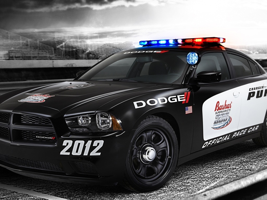 Bugatti Veyron Police Car 4335 Hd Wallpapers in Cars   Imagescicom