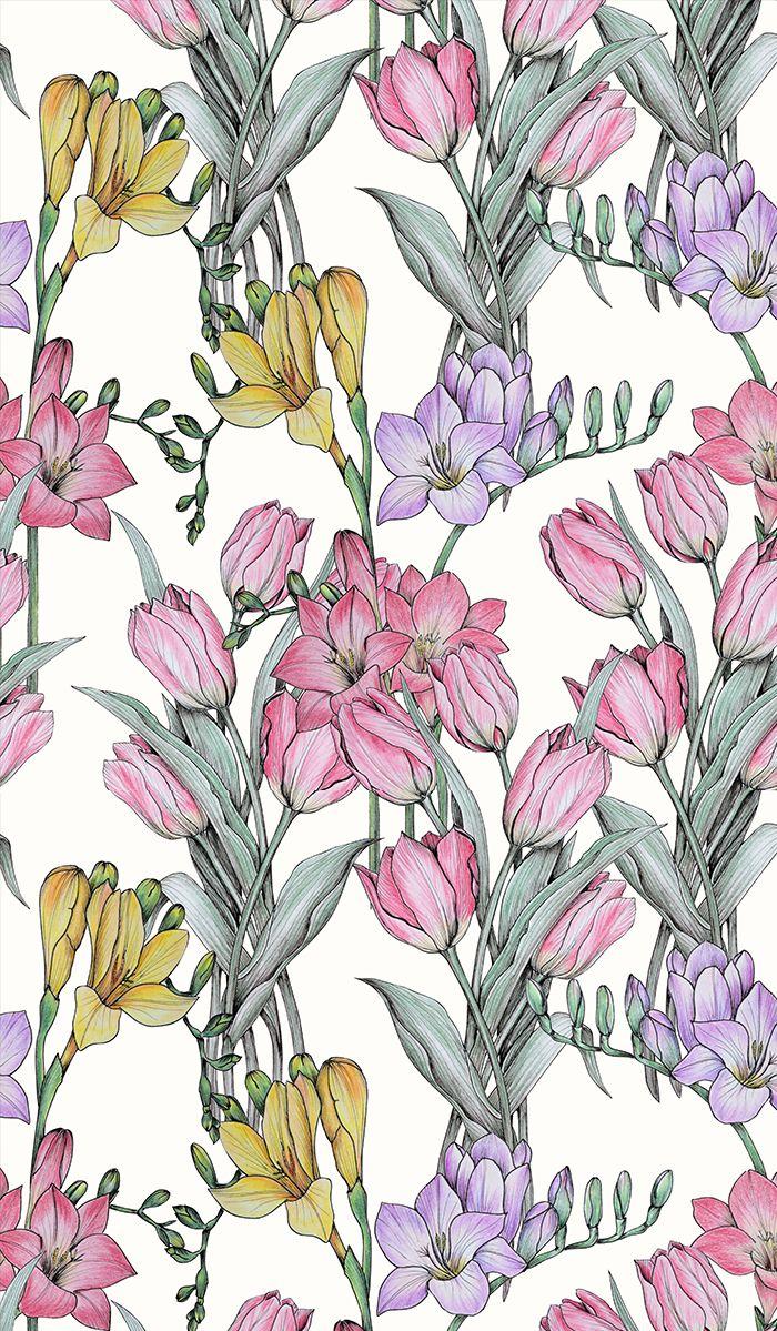 Tulips And Sia Flower Seamless Illustration Hand Drawn