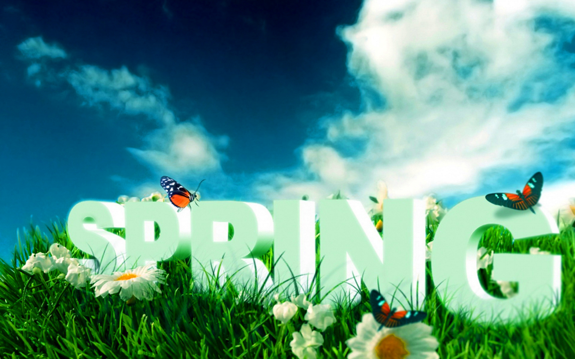 Spring Wallpaper HD