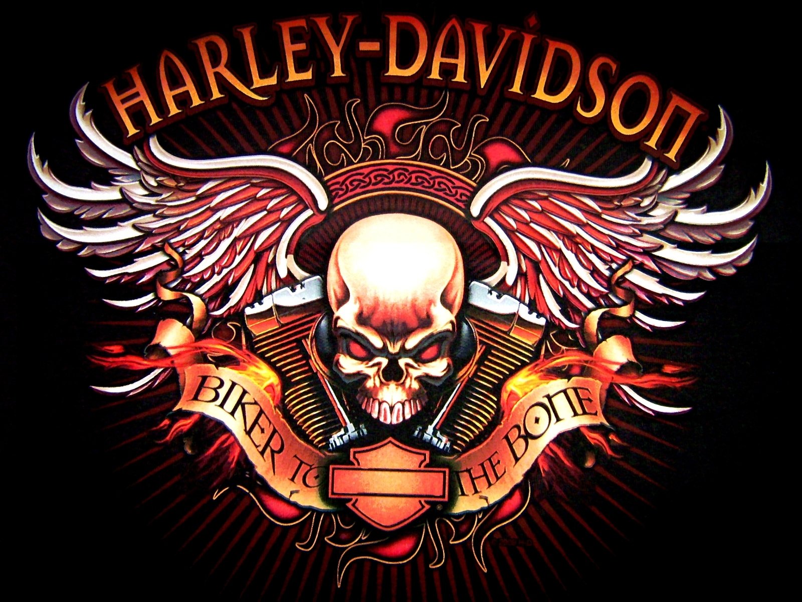 Harley Davidson logo skull bikes motorcycle wallpaper 1600x1200