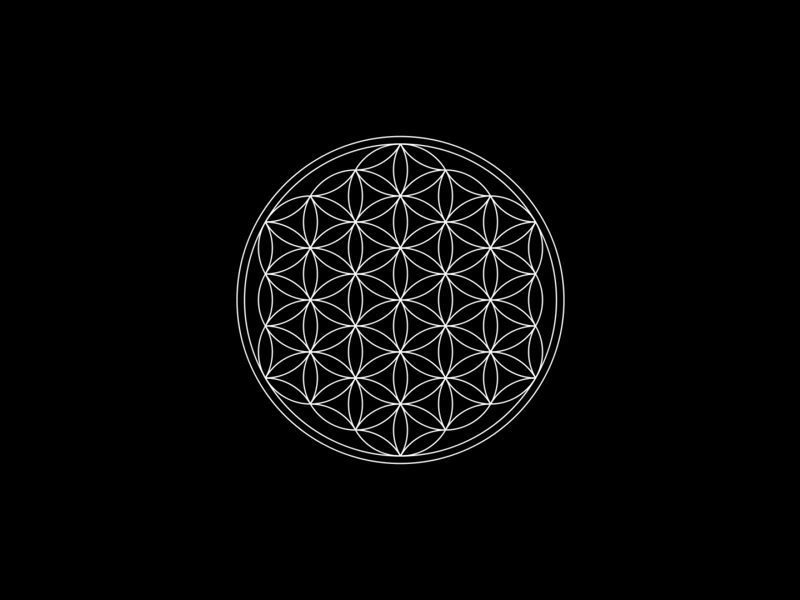 Truth One Flower Of Life Sacred Geometry Wallpaper