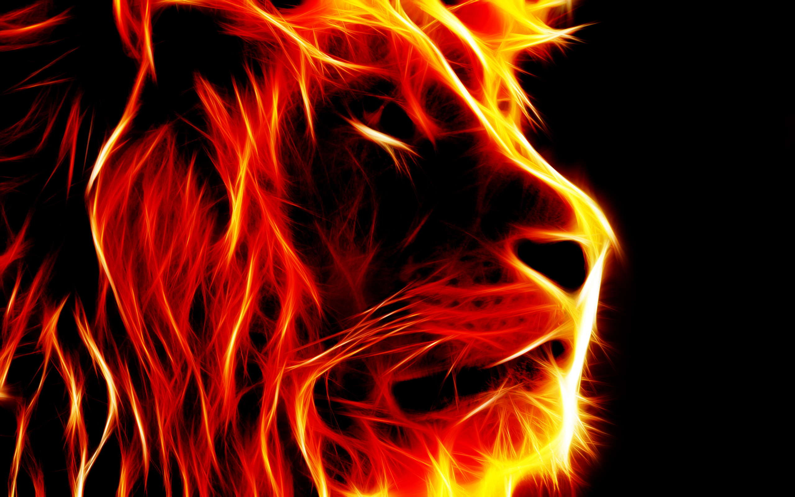 Lion Shaped Pictures Of Fire