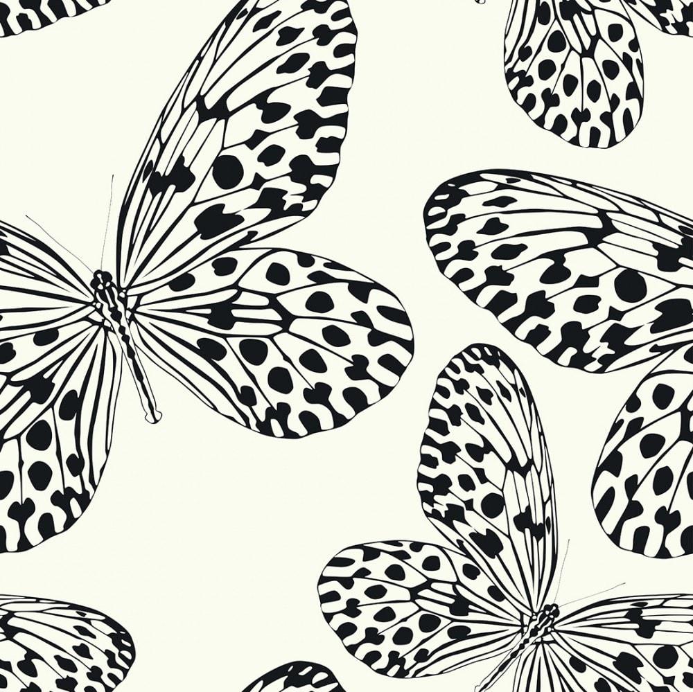 Butterfly Garden Wallpaper In Cream And Black I Love