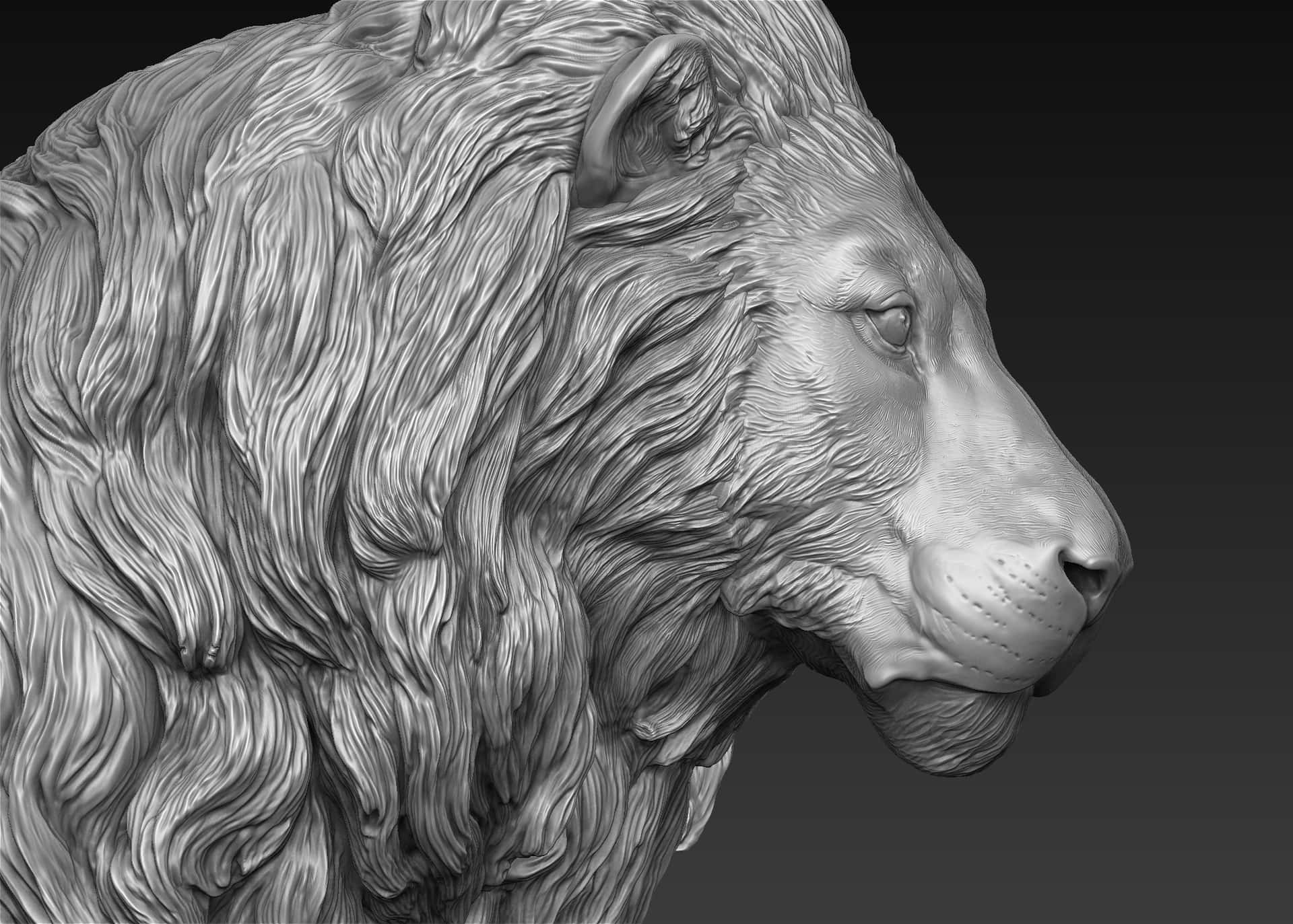 Majestic Lion Head Wallpaper