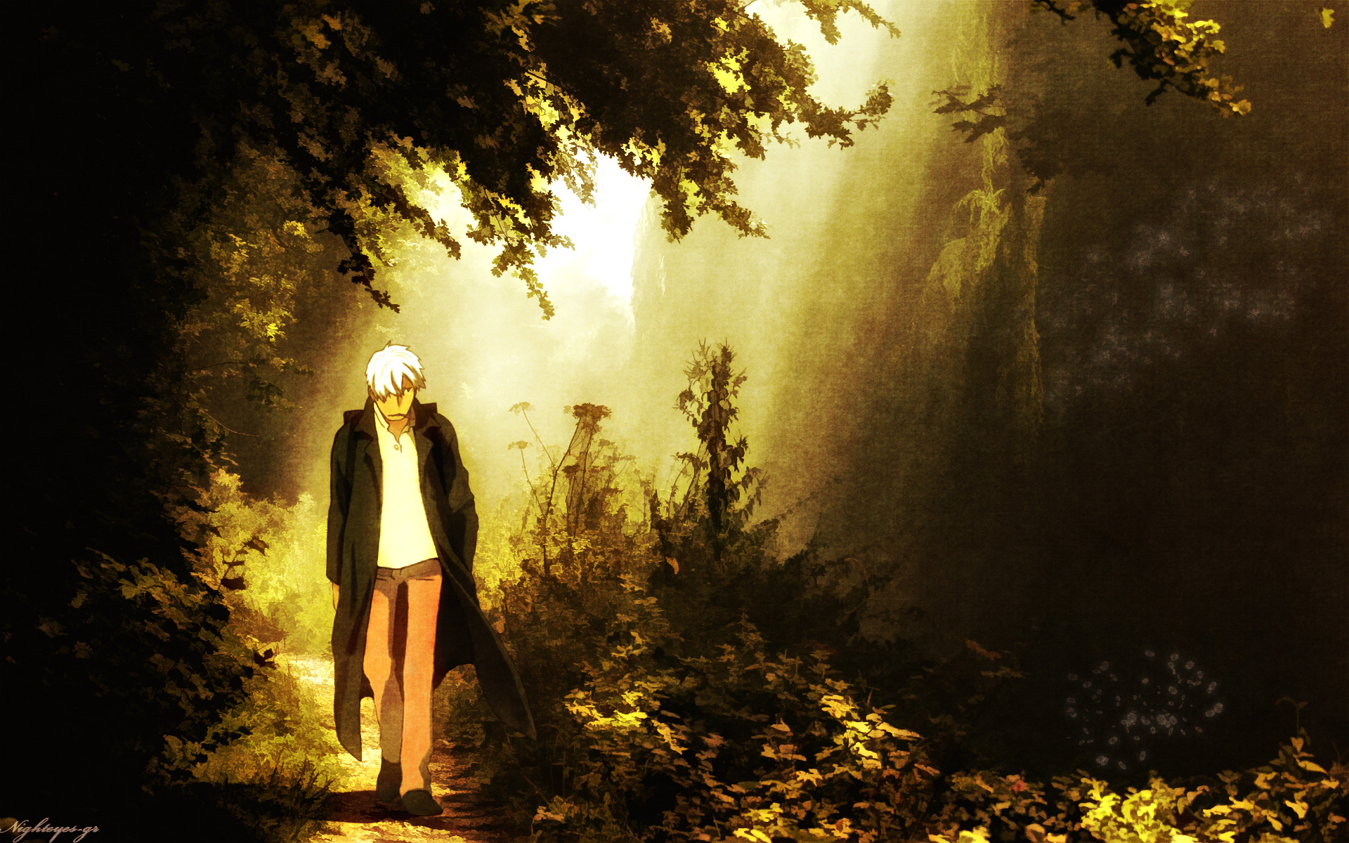 Mobile wallpaper Anime Forest Ginko Mushishi Mushishi 1241652  download the picture for free