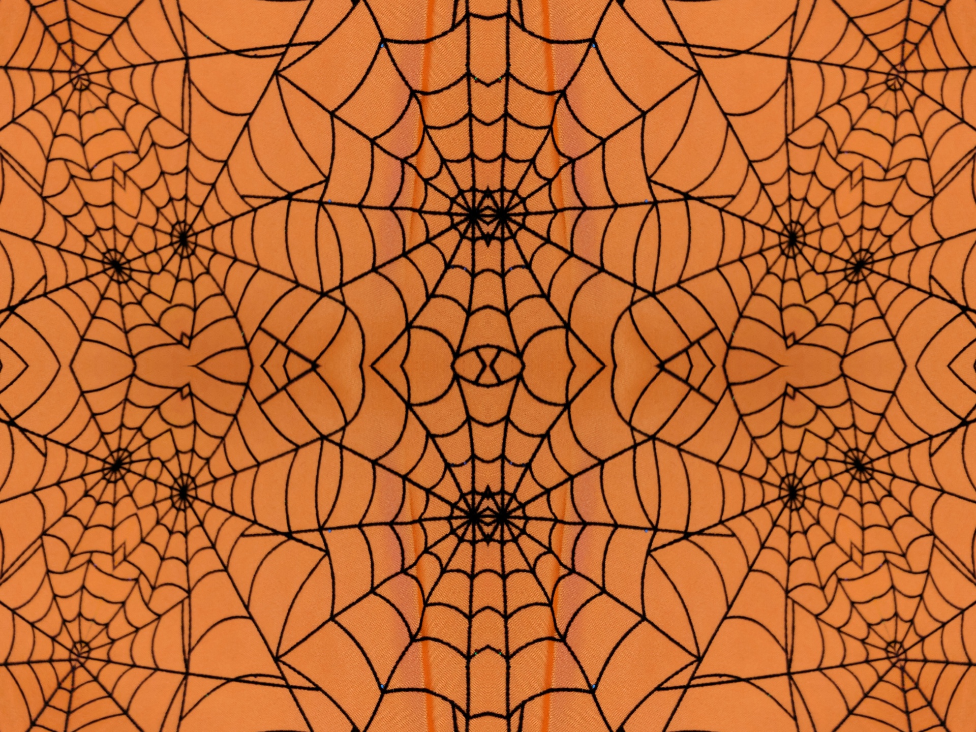 Halloween Background Wallpaper Spider Webs Photo From