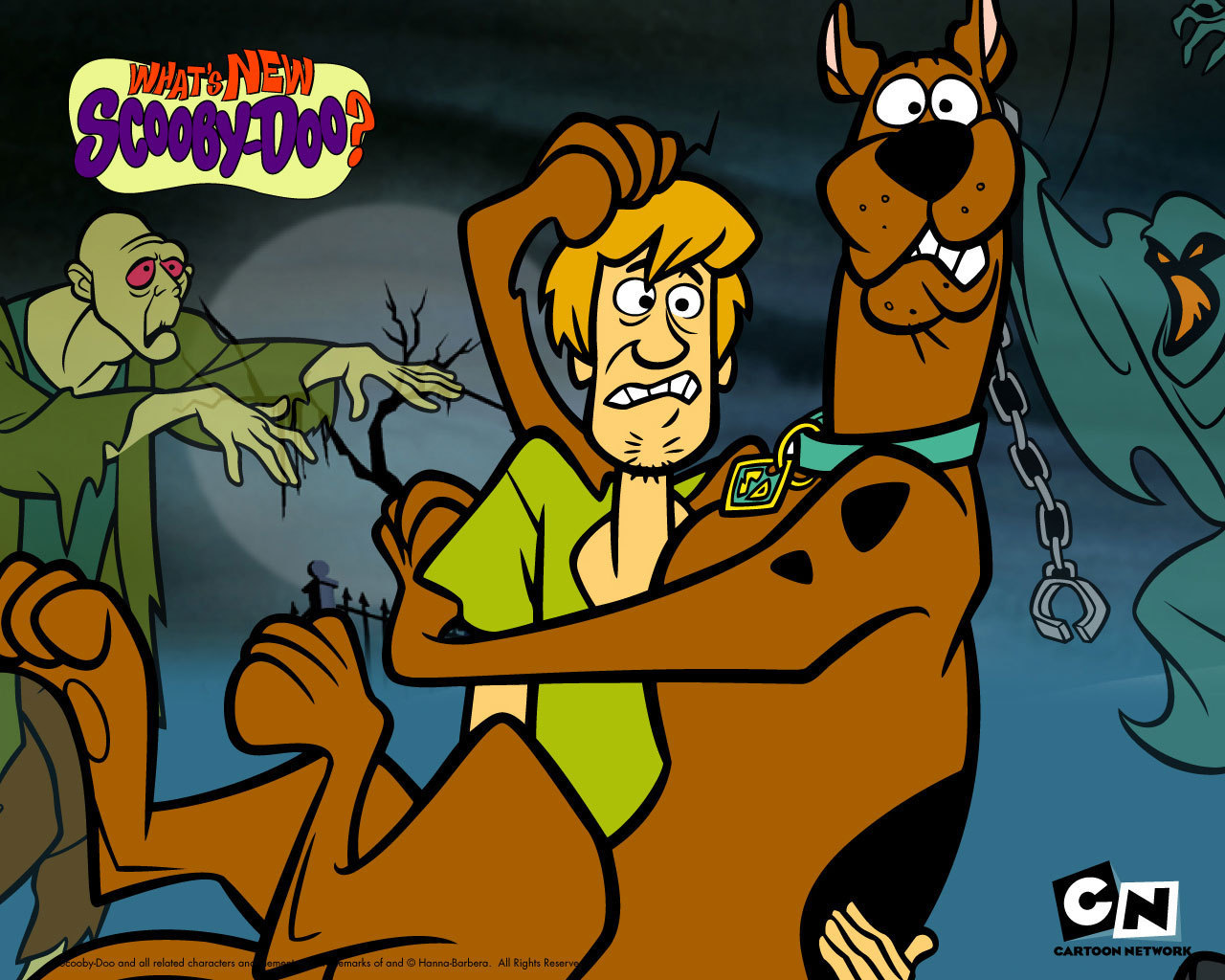 Scooby Doo And Shaggy The Mystery Begins Wallpaper
